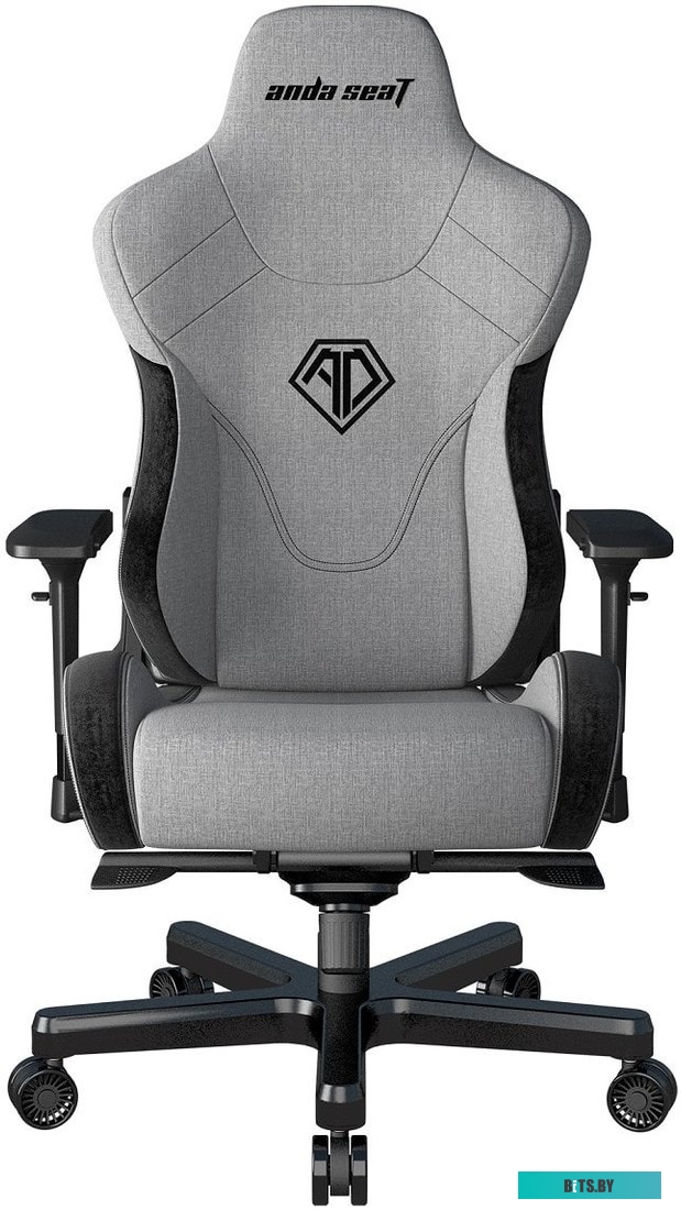 Кресло AndaSeat T-Pro 2 (серый/черный) <AD12XLLA-01-GB-F>