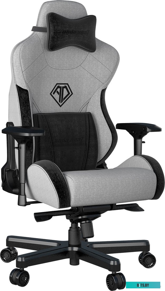 Кресло AndaSeat T-Pro 2 (серый/черный) <AD12XLLA-01-GB-F>