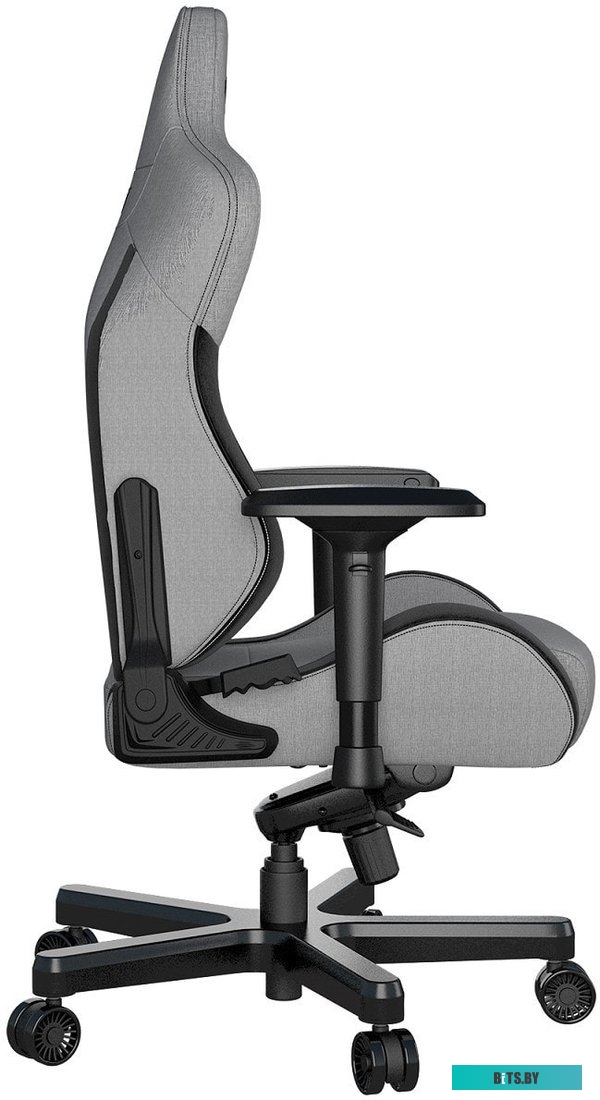 Кресло AndaSeat T-Pro 2 (серый/черный) <AD12XLLA-01-GB-F>
