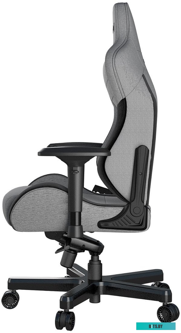 Кресло AndaSeat T-Pro 2 (серый/черный) <AD12XLLA-01-GB-F>