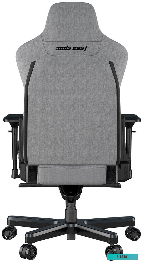 Кресло AndaSeat T-Pro 2 (серый/черный) <AD12XLLA-01-GB-F>