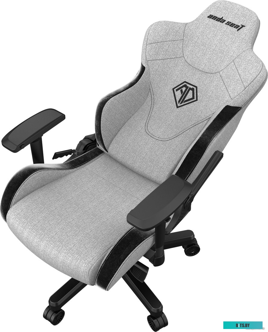 Кресло AndaSeat T-Pro 2 (серый/черный) <AD12XLLA-01-GB-F>