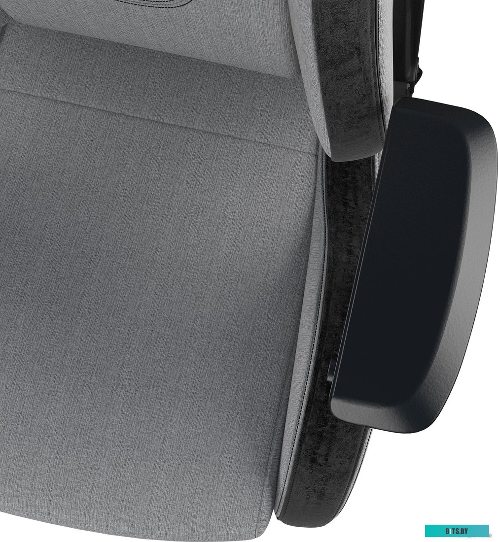 Кресло AndaSeat T-Pro 2 (серый/черный) <AD12XLLA-01-GB-F>