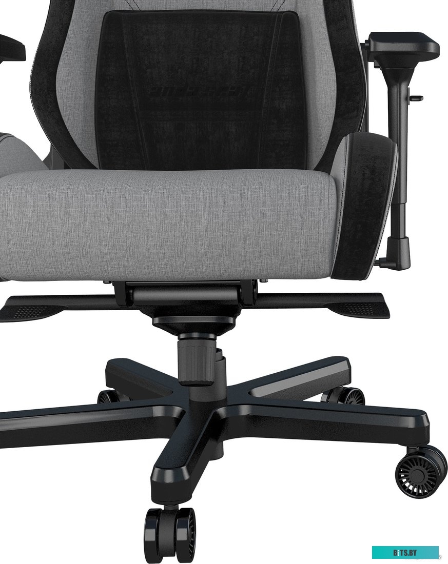 Кресло AndaSeat T-Pro 2 (серый/черный) <AD12XLLA-01-GB-F>