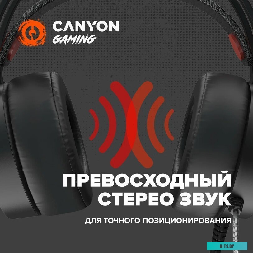 Наушники (Гарнитура) Canyon CND-SGHS8A