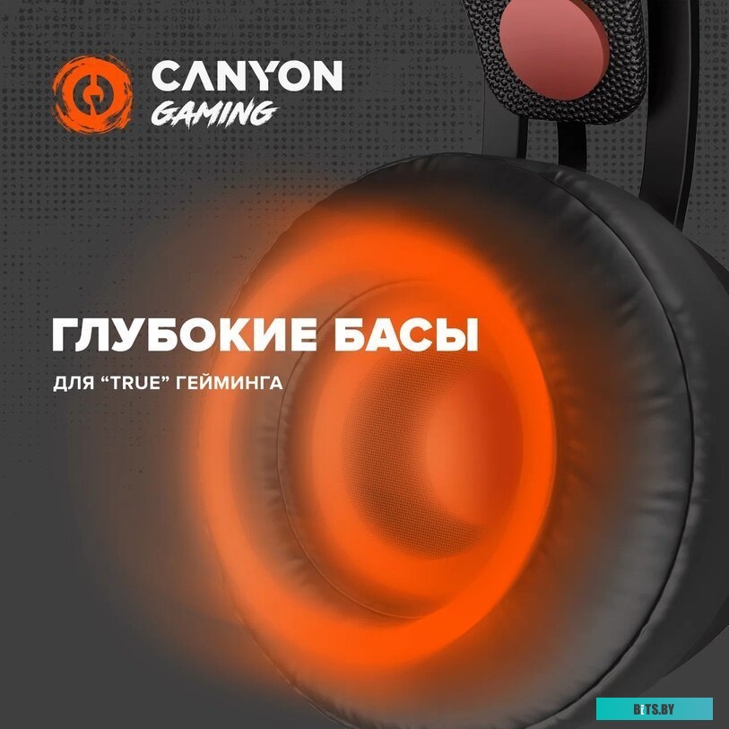 Наушники (Гарнитура) Canyon CND-SGHS8A