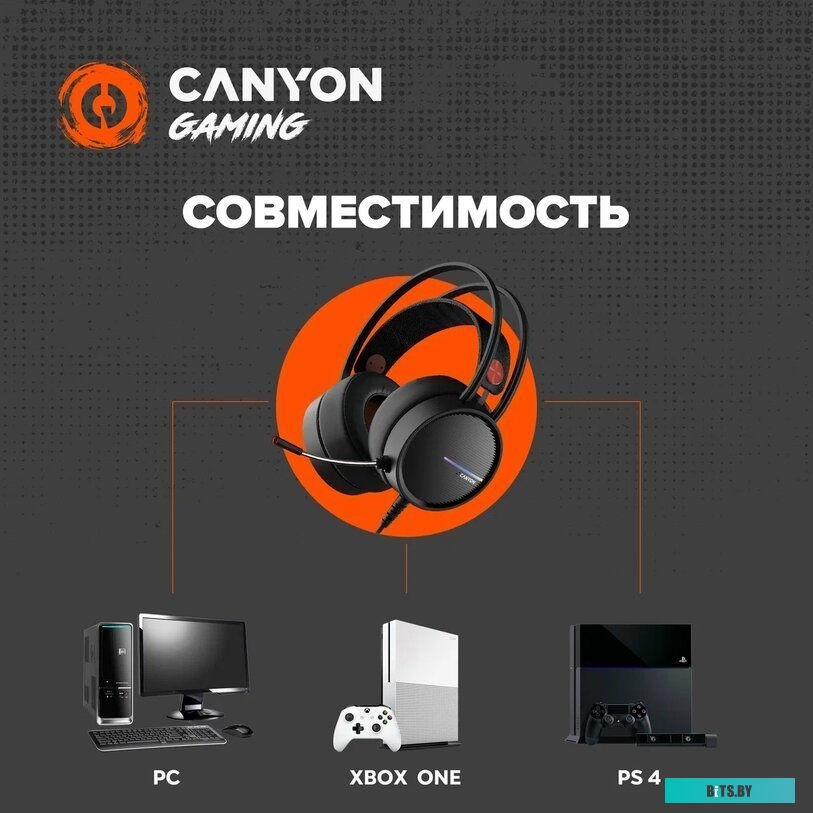 Наушники (Гарнитура) Canyon CND-SGHS8A
