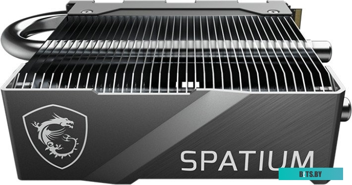 Твердотельный накопитель MSI Spatium M580 FROZR S78-440Q780-P83