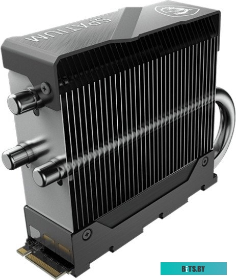 Твердотельный накопитель MSI Spatium M580 FROZR S78-440Q780-P83