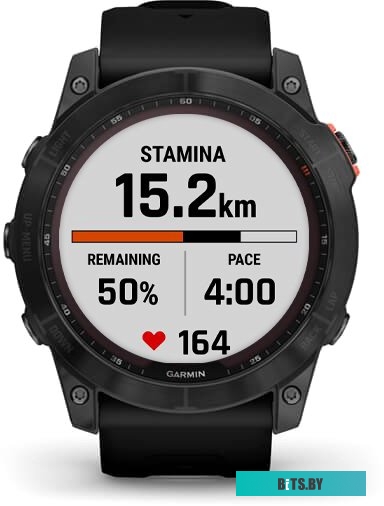 Умные часы Garmin Fenix 7X Solar 51 мм (сланцево-серый/черный) <010-02541-01>