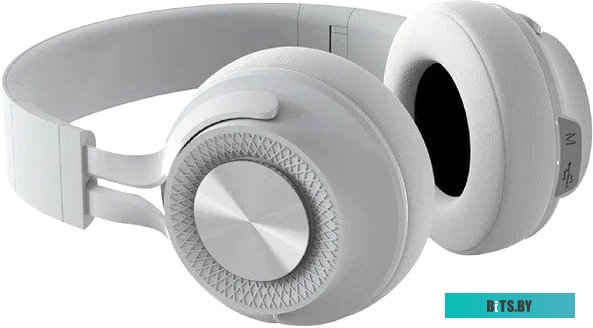 Наушники TFN Bloom (серый) <TFN-HS-BT450GR>