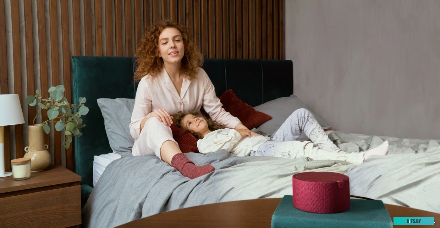 YNDX-00021R_MM Устройство Умного Дома SPEAKER MINI 2.0 RED YNDX-00021R YANDEX