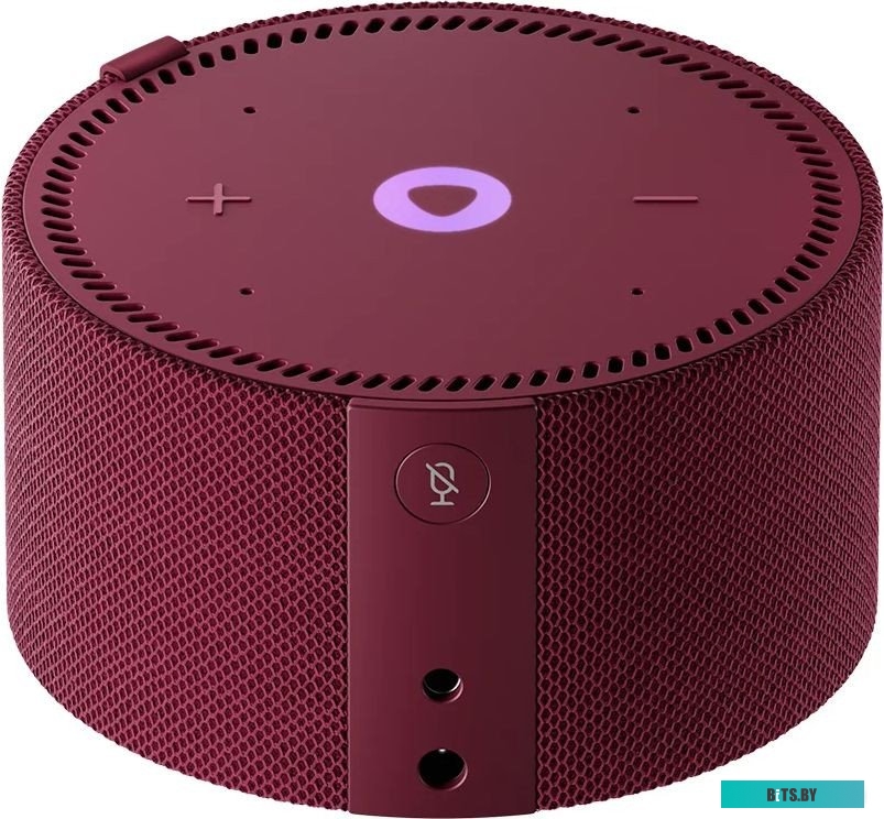 YNDX-00021R_MM Устройство Умного Дома SPEAKER MINI 2.0 RED YNDX-00021R YANDEX