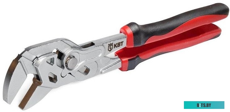 TGPC Action 3 81770 I-X