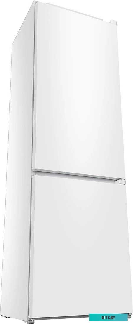 XM-4319-101 Холодильник-морозильник ATLANT XM-4319-101