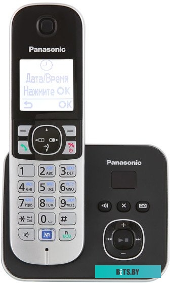 Беспроводной телефон Panasonic KX-TG6821UAB