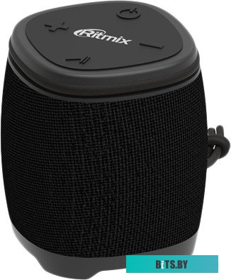 Ritmix SP-310B