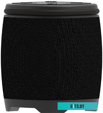 Ritmix SP-310B
