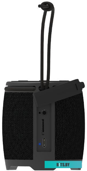 Ritmix SP-310B
