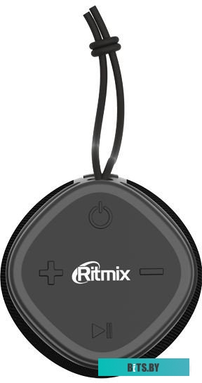Ritmix SP-310B