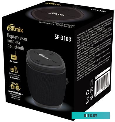 Ritmix SP-310B