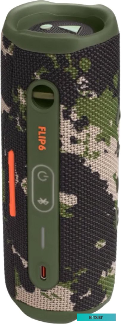 Беспроводная колонка JBL Flip 6 (камуфляж)