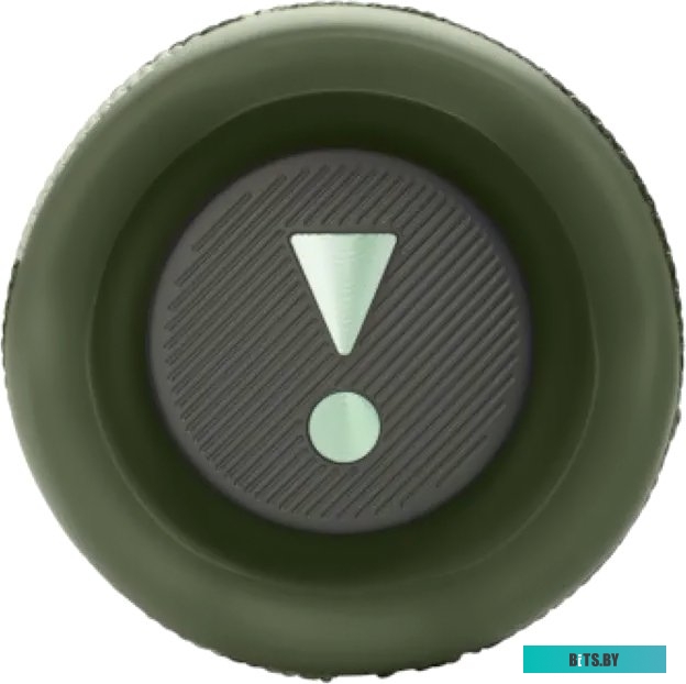 Беспроводная колонка JBL Flip 6 (камуфляж)