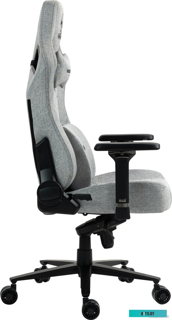 42344 4812755007298 Evolution Nomad PRO (серый)