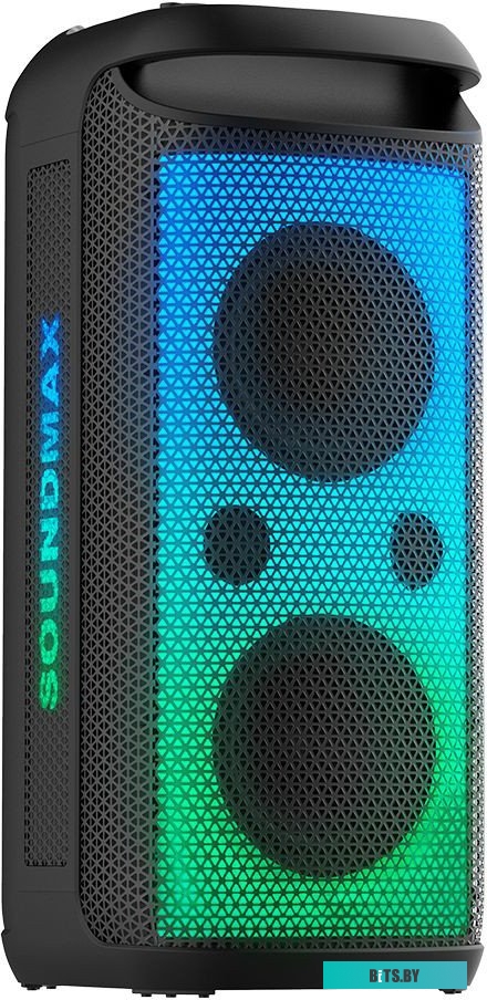 Портативная аудиосистема Soundmax SM-MS4209