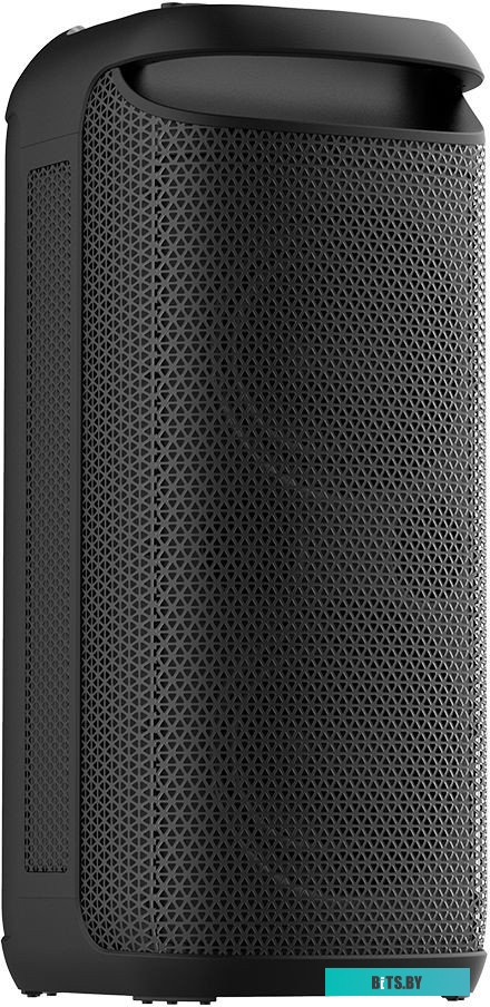 Портативная аудиосистема Soundmax SM-MS4209