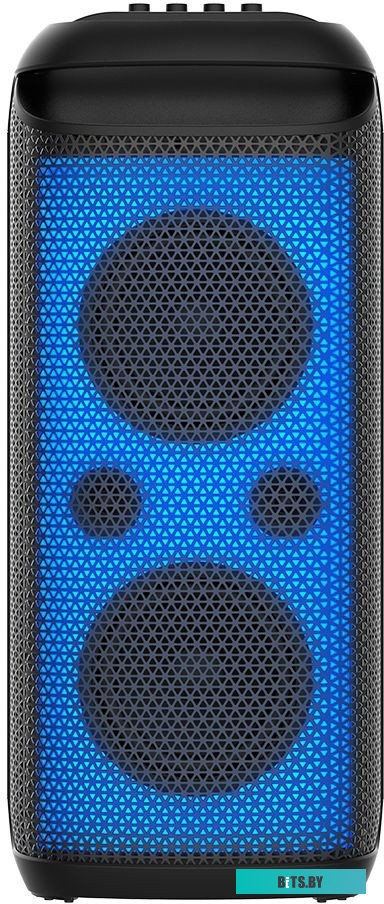 Портативная аудиосистема Soundmax SM-MS4209