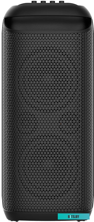 Портативная аудиосистема Soundmax SM-MS4209