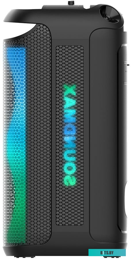 Портативная аудиосистема Soundmax SM-MS4209