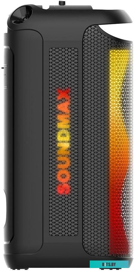 Портативная аудиосистема Soundmax SM-MS4209