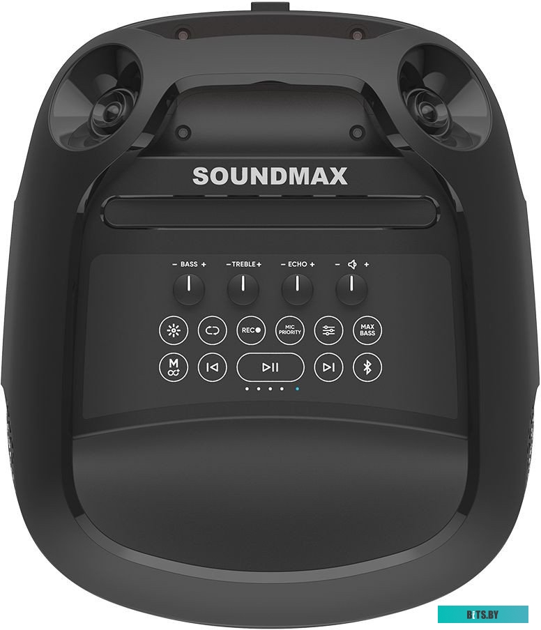 Портативная аудиосистема Soundmax SM-MS4209