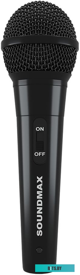 Портативная аудиосистема Soundmax SM-MS4209