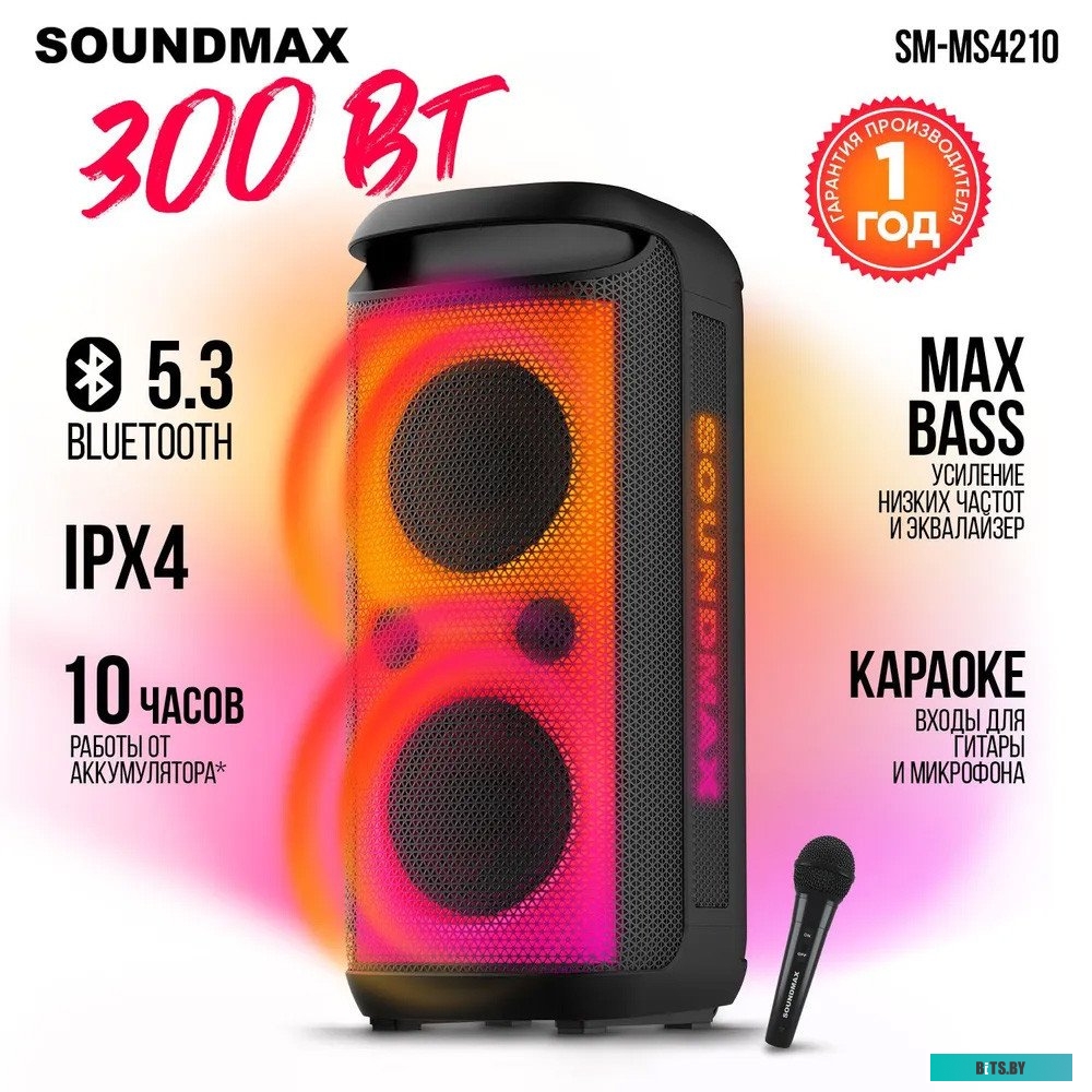 Портативная аудиосистема Soundmax SM-MS4210 черный