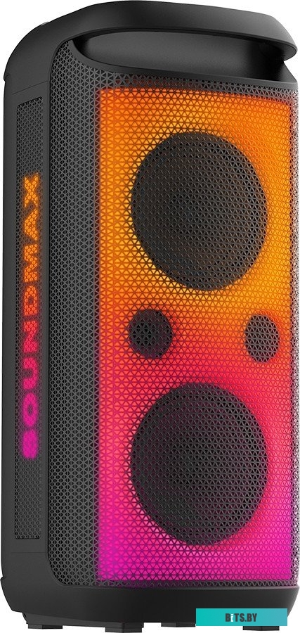Портативная аудиосистема Soundmax SM-MS4210 черный