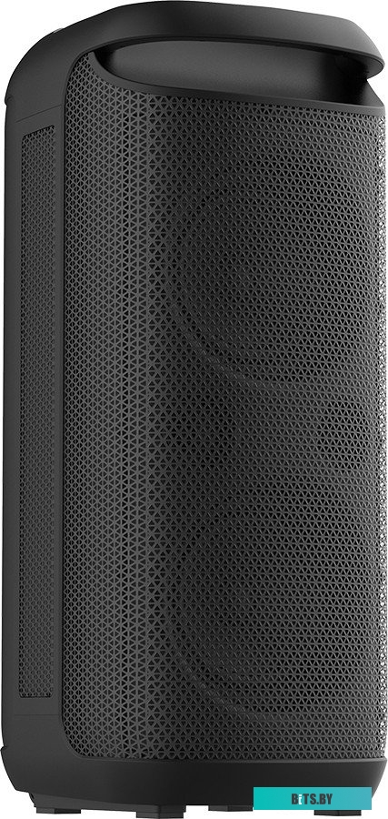 Портативная аудиосистема Soundmax SM-MS4210 черный