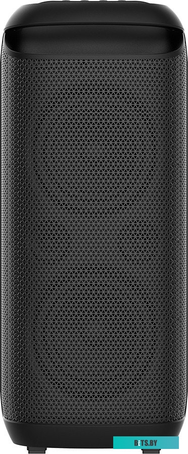Портативная аудиосистема Soundmax SM-MS4210 черный