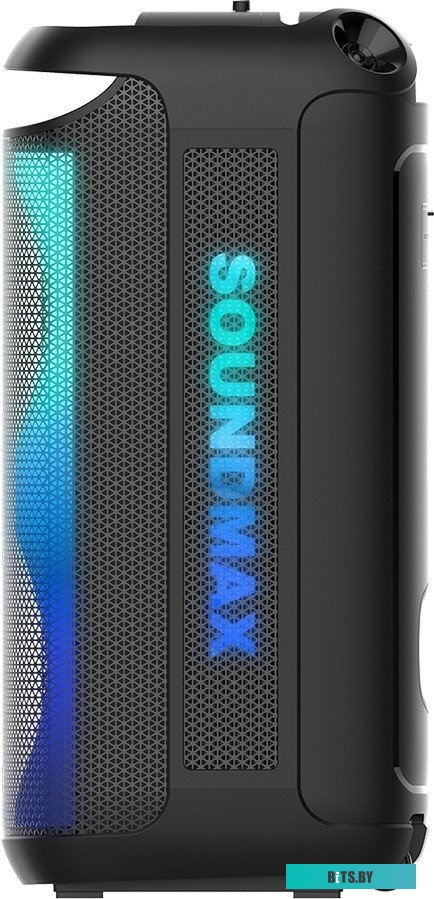 Портативная аудиосистема Soundmax SM-MS4210 черный