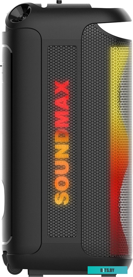 Портативная аудиосистема Soundmax SM-MS4210 черный