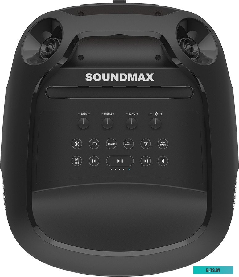 Портативная аудиосистема Soundmax SM-MS4210 черный