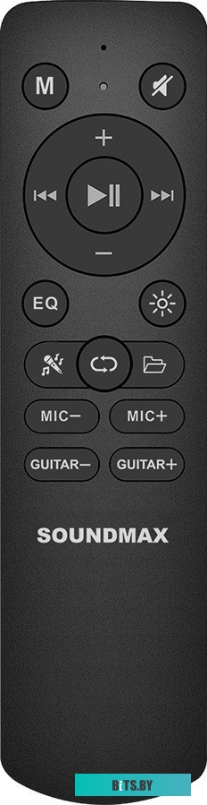 Портативная аудиосистема Soundmax SM-MS4210 черный
