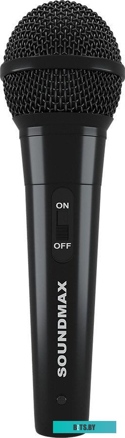 Портативная аудиосистема Soundmax SM-MS4210 черный