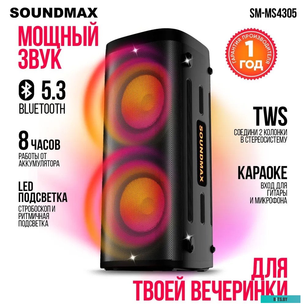 Портативная аудиосистема Soundmax SM-MS4305 черный