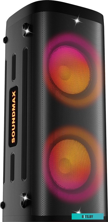 Портативная аудиосистема Soundmax SM-MS4305 черный