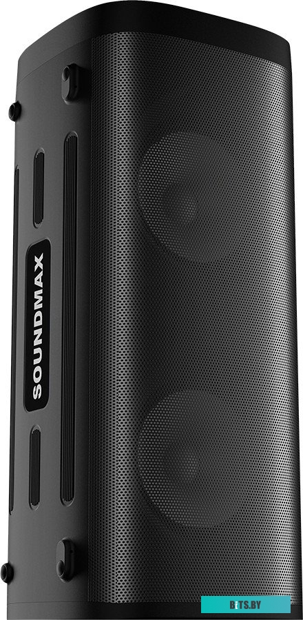 Портативная аудиосистема Soundmax SM-MS4305 черный