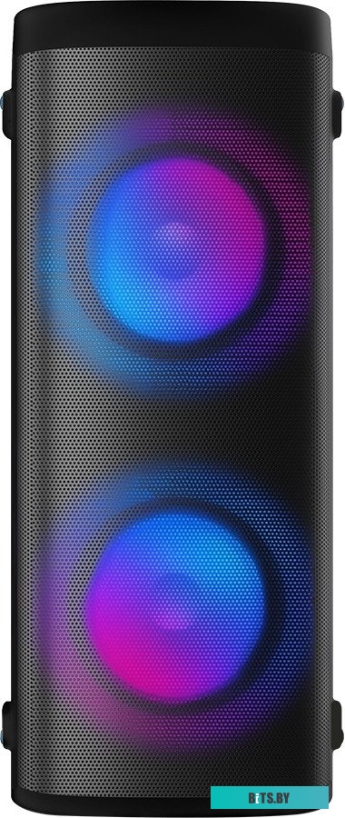 Портативная аудиосистема Soundmax SM-MS4305 черный