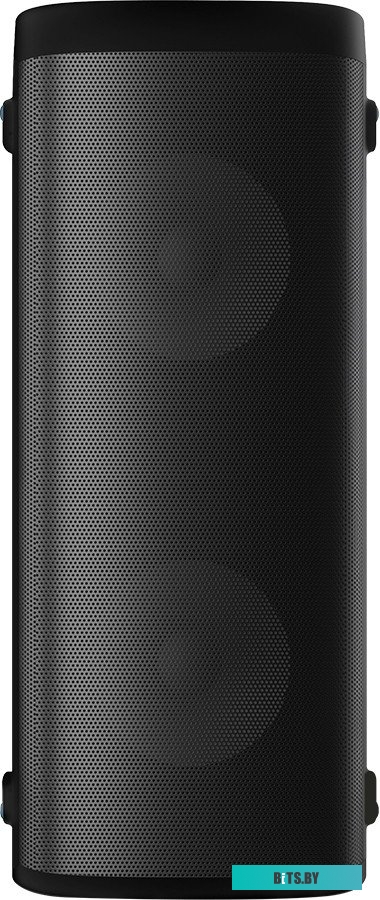 Портативная аудиосистема Soundmax SM-MS4305 черный